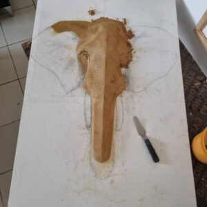 Antonella's Forest Elephant