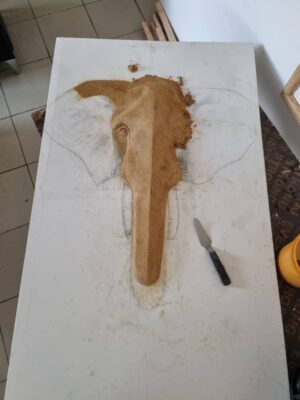 Antonella's Forest Elephant